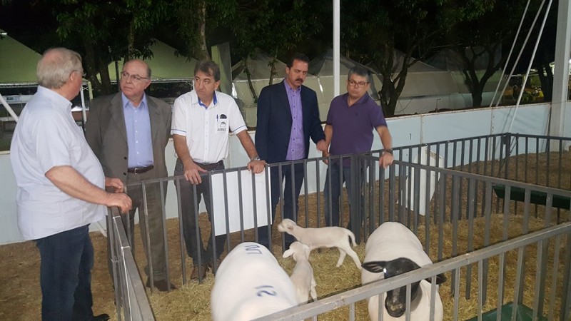 12112089_524591864363692_4006239133564345562_n