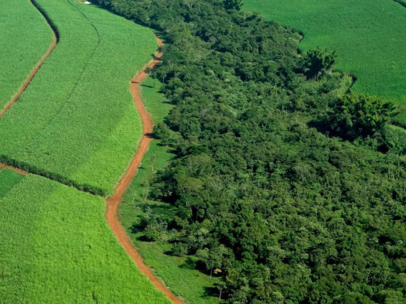 Regulamentação do Programa de Regularização Ambiental (PRA) é debatida na FIESP